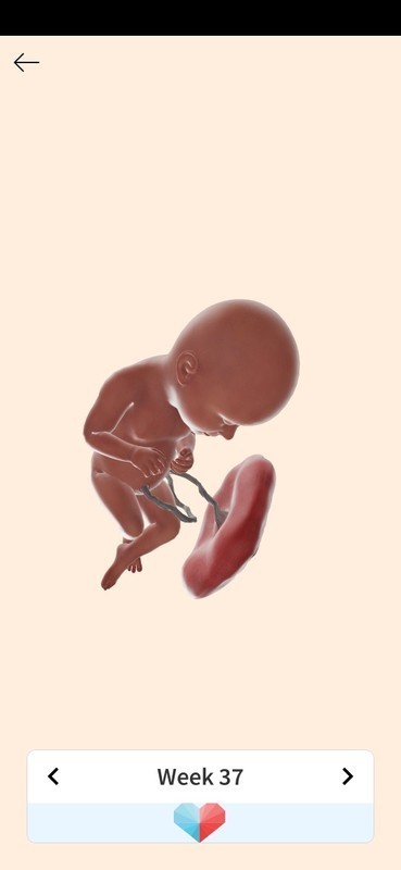 เจ็บท้องหน่วงๆ