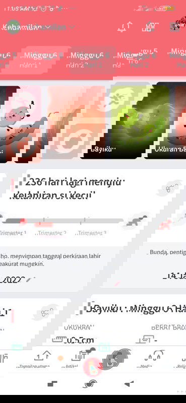 Nyeri punggung dan dada dan kembung