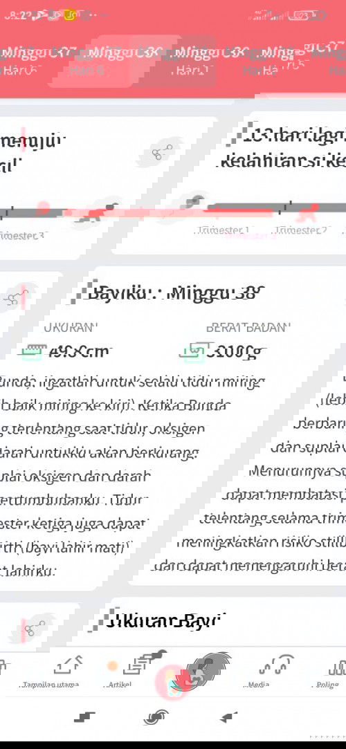 Menunggu sinyal cinta dari dede