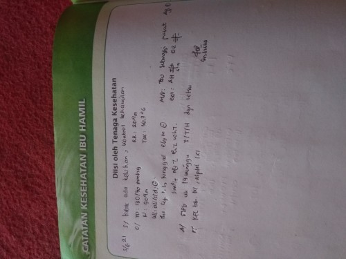 USG 19 minggu