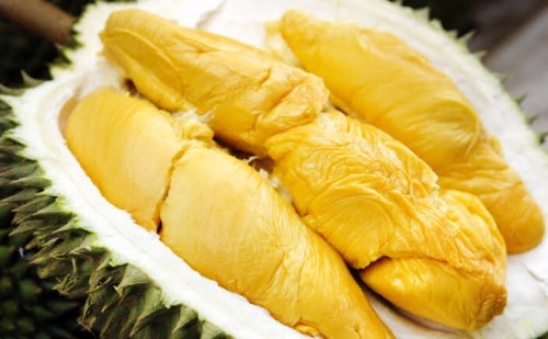 Makan durian