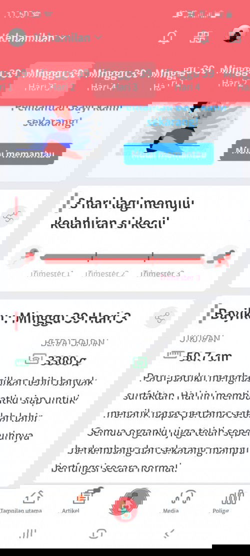 Menanti Gelombang Cinta