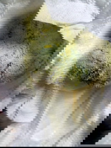 อึลูกเป็นสีแบบนี้