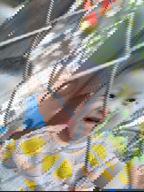 Đánh răng cho bé khi nào