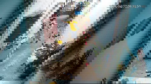 Để ck ở nhà giữ con