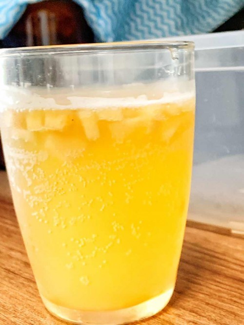 Kombucha time