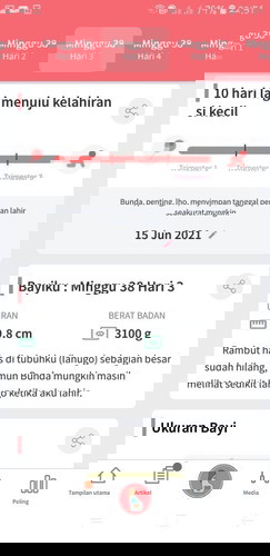 Hpl bulan juni