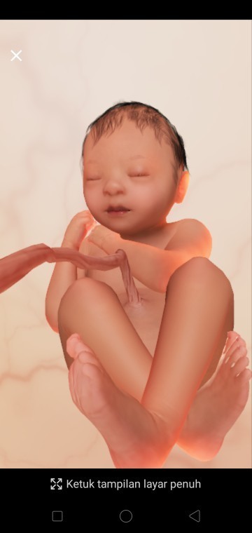 Ada yg sama dgn saya gk bund..
36week masih Lintang 😭😭😭 apa detun nya masih bisa muter Lg Bun....