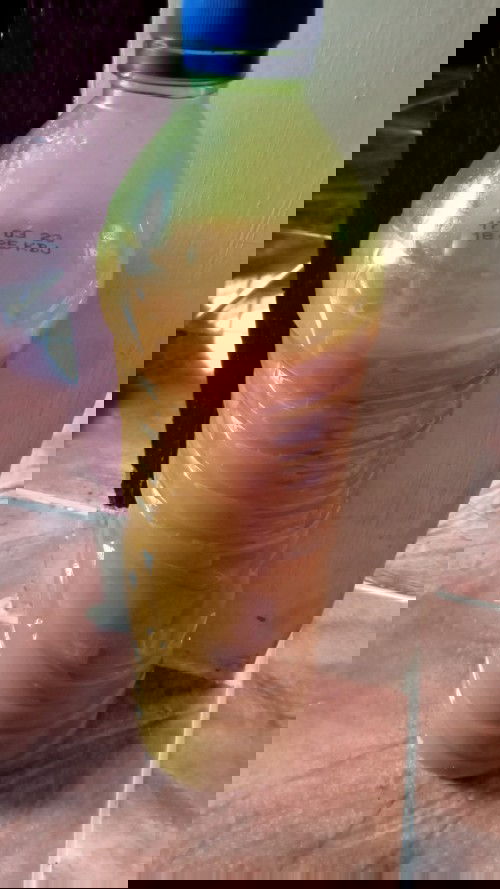 Minun jamu kunyit jahe merah dan cengkeh