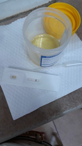 Hamil juga ,tewas bersama pill morning