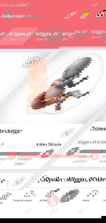 Menanti gelombang cinta