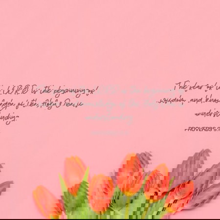 Beginning of Wisdom