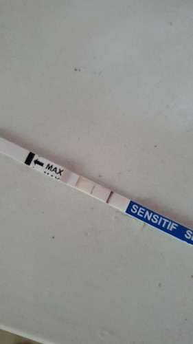 Bun saya kemarin tes urine hasil 2 garis, pas besoknya di test kembali 1 garis lagi,