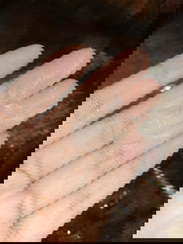 สอบถามหน่อยค่ะ #ท้องแรก 38+4วีค