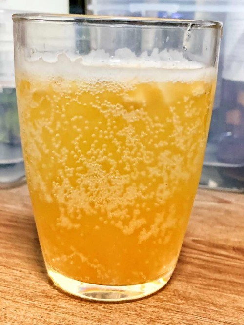 Kombucha time