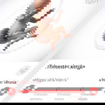 Apakah ada yang sama HPL 13 Juni??