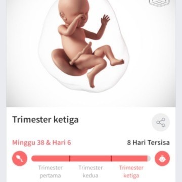 Apakah ada yang sama HPL 13 Juni??