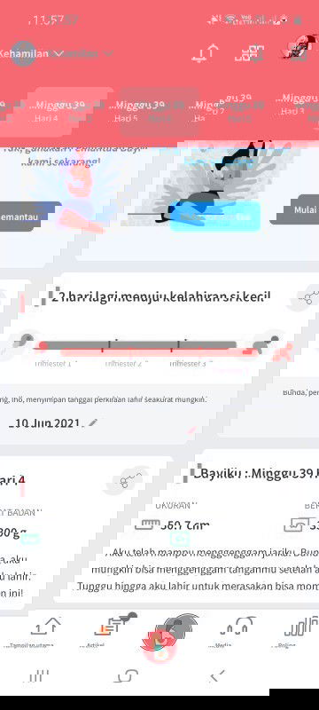 Ngikut hpl usg atau hptp