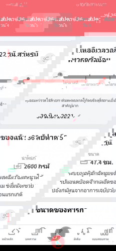 36w+5นน.ครรภ์2000