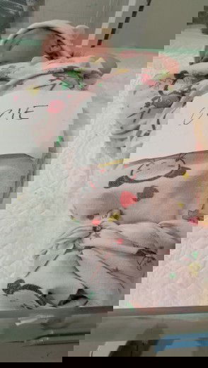 launching 7juni hpl 19juni