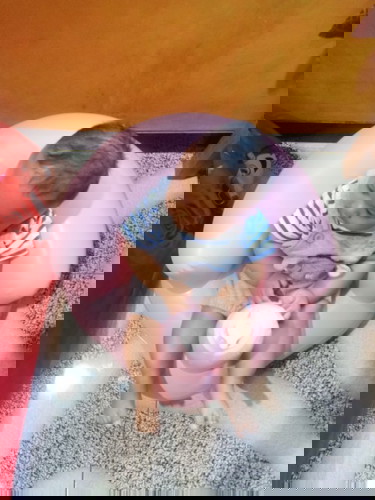 cari preloved kursi makan bayi