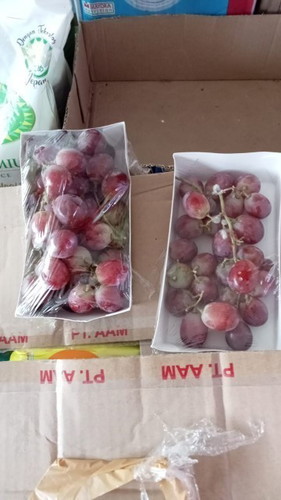 Mkn anggur?
Bolh kn umur 7 minggu mkan buah anggur kta ny klw kbnykn gk bleh y bun Mngandung alkohl