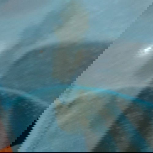 Spotting po po b ito?????😭😭