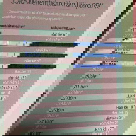 Lps kguguran..doc saran rehat 3m then ni nk on smula.. dh tempoh sesuai x?
LMP : 30/5/21