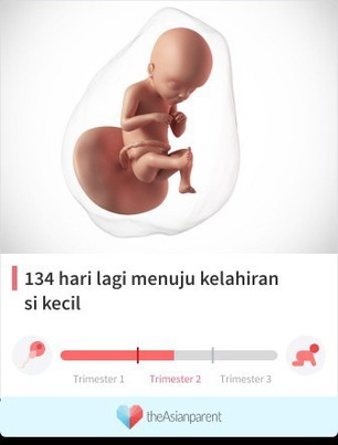 Obat wasir untuk ibu hamil apa ya minta infonya dong bun