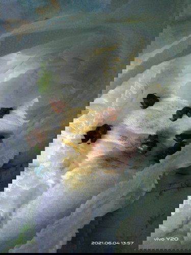 Hai.. ingin bertanya... Normal ke anak umur 1 tahun 4 bulan berak berketul2 n keras mcm taik kambing