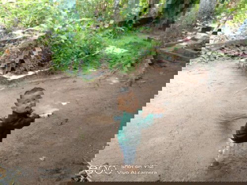 Mendidik anak usia dini