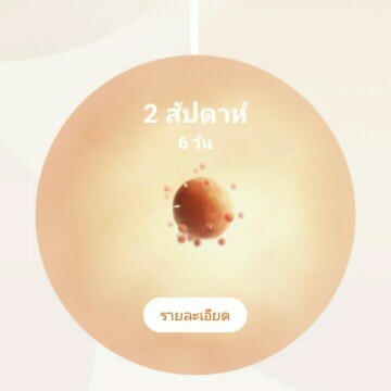 นับยังไงค่ะ กี่วิค