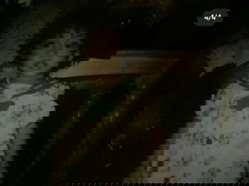 Liburan ke kebun Binatang