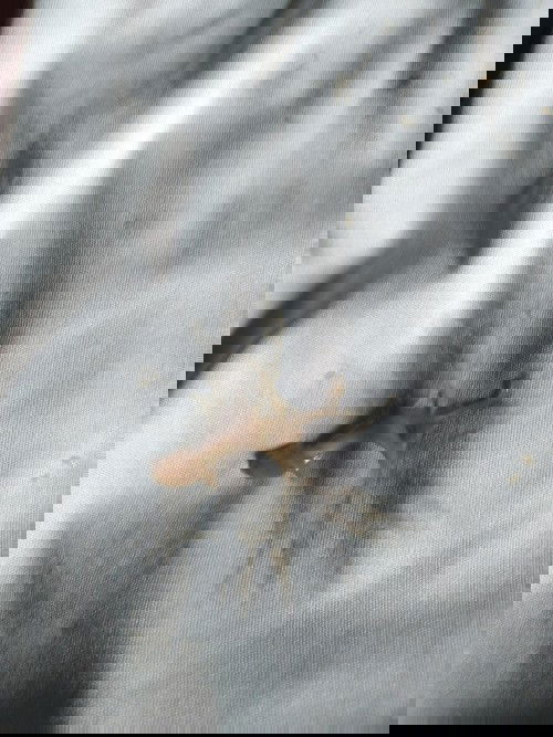 HELLO PO ANO PO KAYA TO? 40 weeks and 2 days na po ako