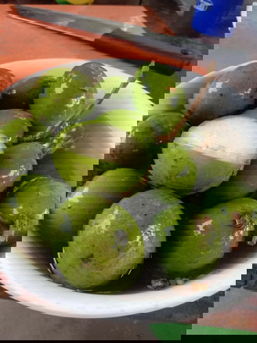 คนท้องกินมะกอกได้ไหม