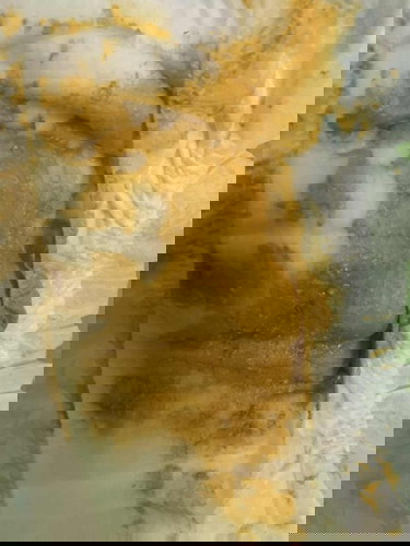 สอบถามหน่อยค่ะ