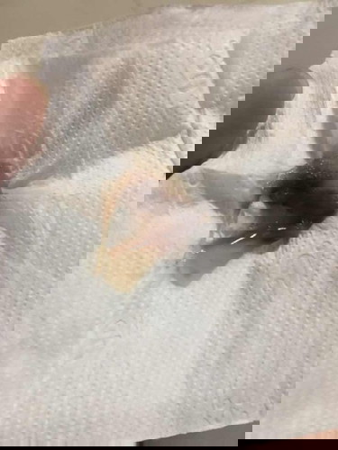 Sorry for the picture