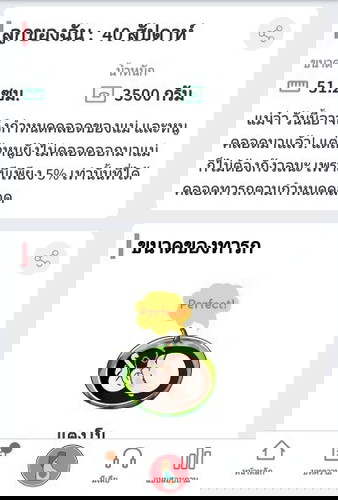 ครบกำหนดคลอด12 มิ.ย ยังไม่แตกเลยจ้า