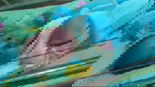 Lahir dengan selamat