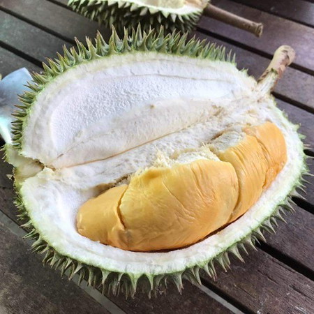 BOLEH KE MAKAN DURIAN?