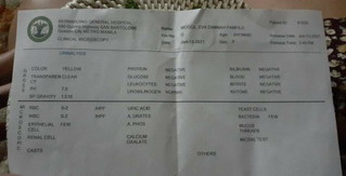 Urinalysis result