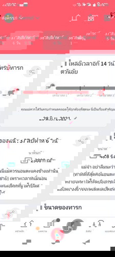 ทีมมิถุนายน