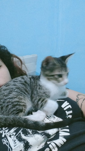 May bad effects po ba ang cats sa baby? Super love ko kase ung cat ko and gusto ko maging close sila