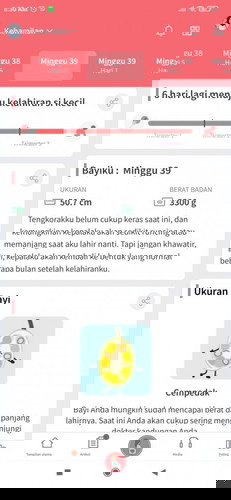 6 hari menuju hpl (22 juni)