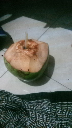 Kelapa Muda