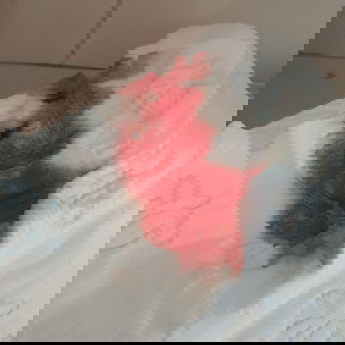 13 W 6 D. (My experience)