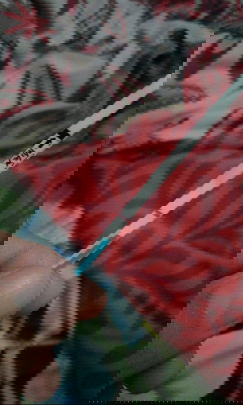 Telat haid 2 minggu keluar flek hasil negatif