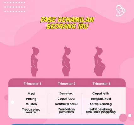 Bunda sekarang sedang berada di trimester berapa nih?