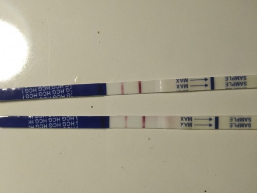 14/6/64วันที่ตรวจครรภ์