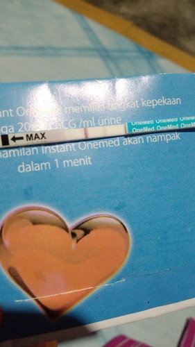 Ini hasilnya apa ya ?